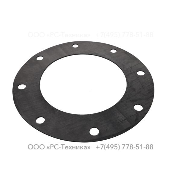 4810005686 FLANGE GASKET