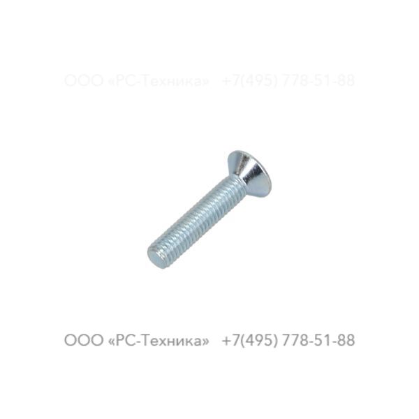 4810054001 Screw