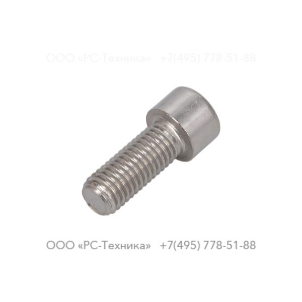 4810001914 SCREW