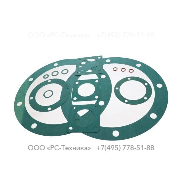 4810008706 SET OF GASKETS V100-2