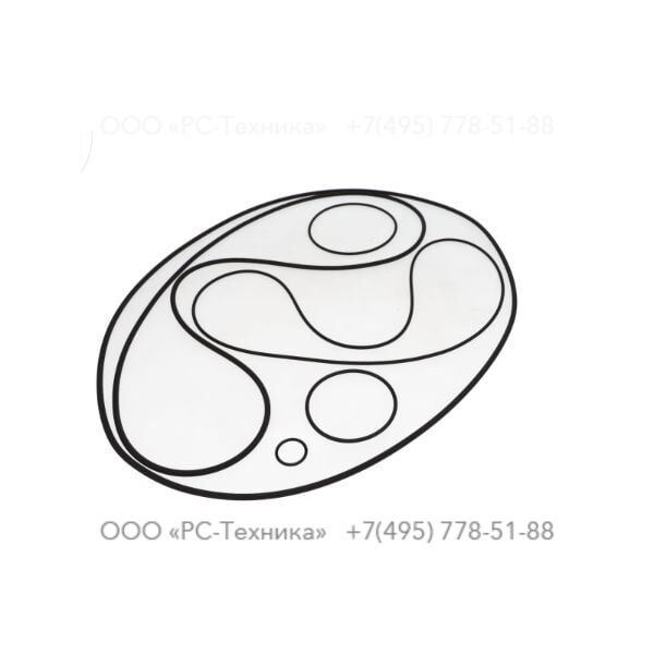 4810069686 SET OF GASKETS