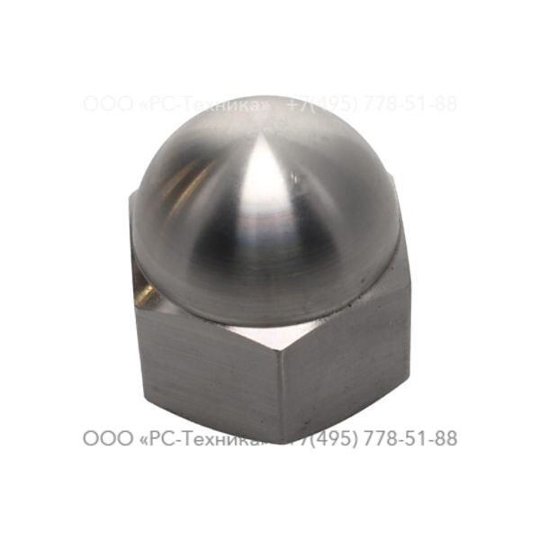 4810006925 NUT M30X2-5H DOME K