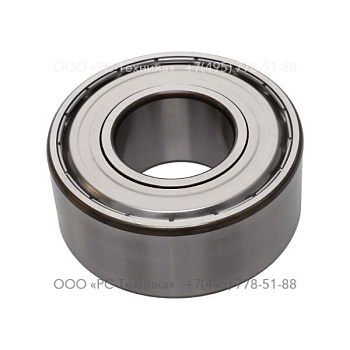 4810073376 BEARING