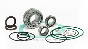 2911016600 KIT GEAR CASING