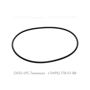 0663210391 O-ring