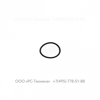 0663213100 O-RING