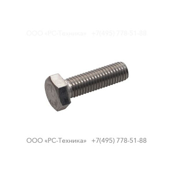 4810002054 Screw