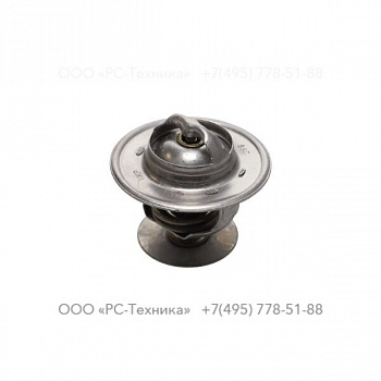 4810073771 THERMOSTAT