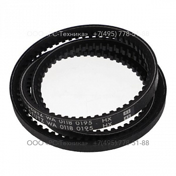 2913161300 NARROW V-BELT