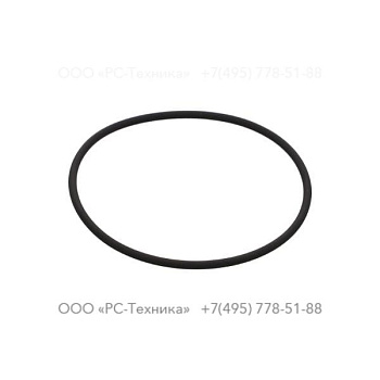 0663987000 O-RING 79.5 X 3