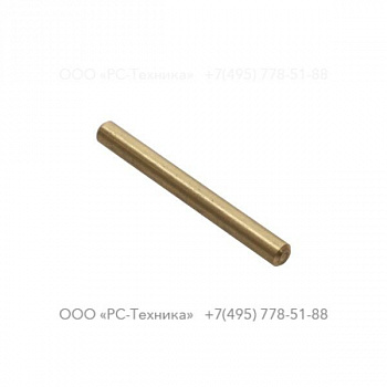 c065336 HINGE PIN