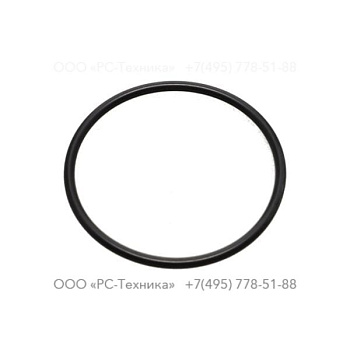 0663210598 O-RING
