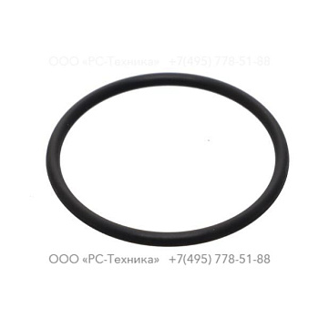 2205431427 O-RING FLUORIDE