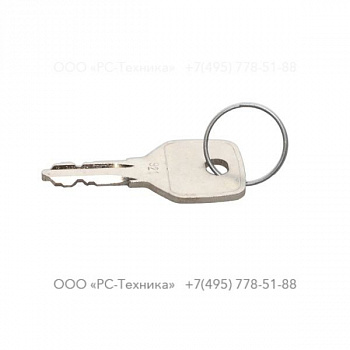 2914989500 FUEL CAP KEY