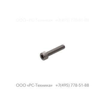 3081601456 SCREW
