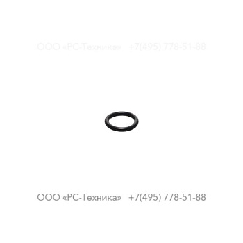 0663905401 O-RING