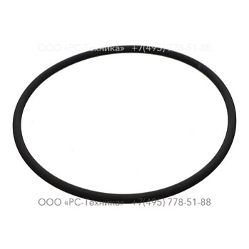 3081710202 O-RING