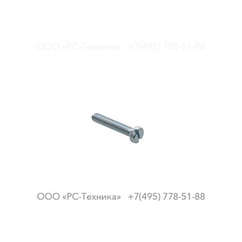 0160602500 SLOTTED SCREW