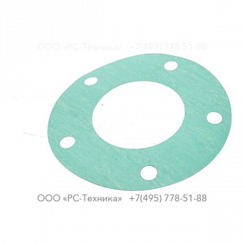 4810005510 FLANGE GASKET