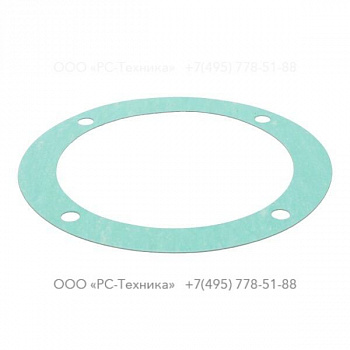 4810025733 GASKET