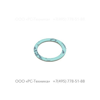 4810005660 PLUG GASKET