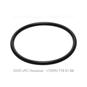 0663211169 O-RING