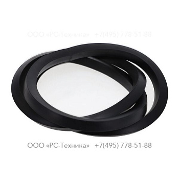 3081602784 SEAL RING