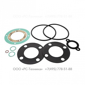4810025736 GASKET SETS ST-R2 TWF