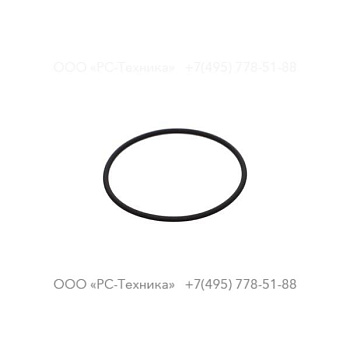 1607856418 O-RING