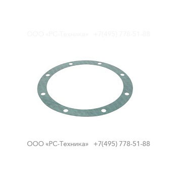 4810005576 GASKET