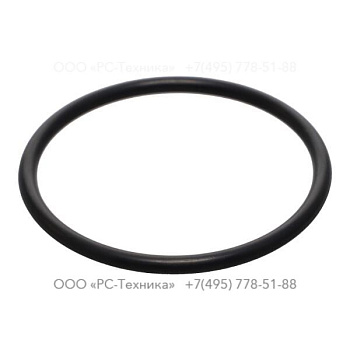 4810002266 GASKET