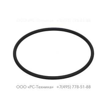 1636300322 SEALING RING