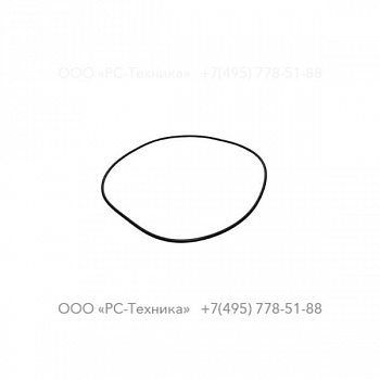 1097653700 O-RING