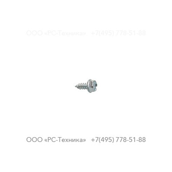 4810018684 SCREW