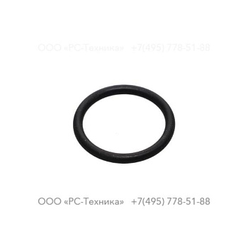 4810060216 O-RING