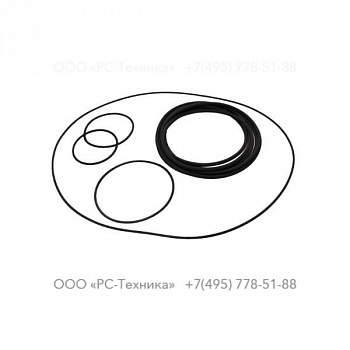 4810070105 SET OF GASKET - PUMP