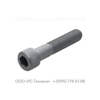 0211196308 HEX SOCK. SCREW