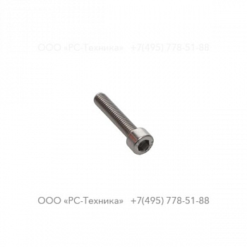 4810001919 SCREW