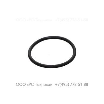 1607856106 O-RING