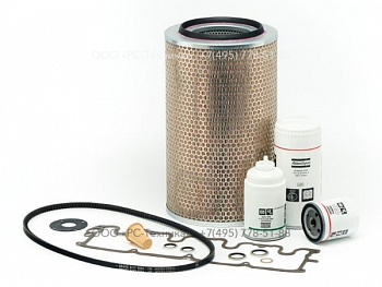 2912417803 PAK XAS125 DD (1000H)