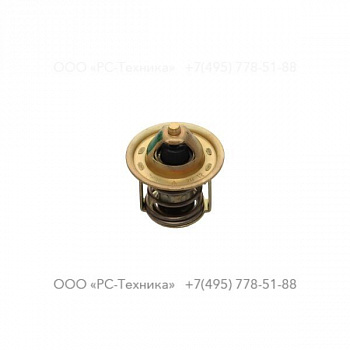 2913318900 VALVE THERM.
