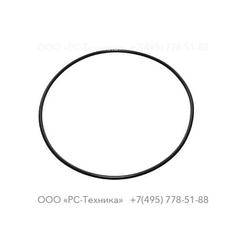 4810022873 O-RING
