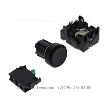 1089036204 PUSH BUTTON