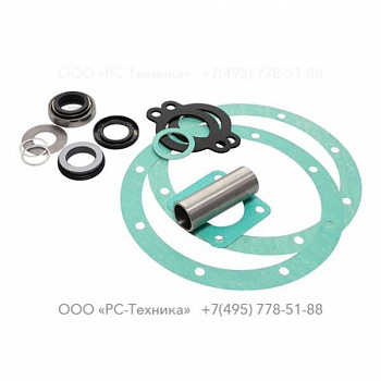 4810077641 SEAL KIT