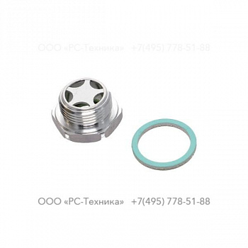 4810069939 LEVEL INSPECTION