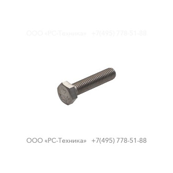 4810002033 SCREW