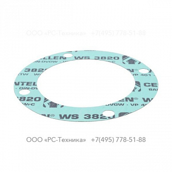 4810005618 GASKET
