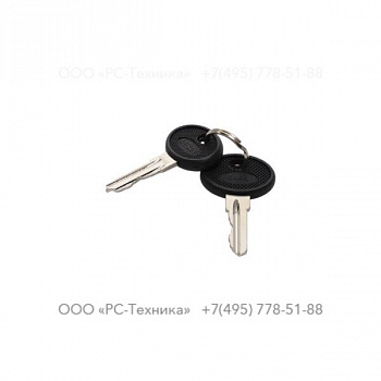 4810070584 CANOPY REPLACEMENT KEY (2 KEYS)