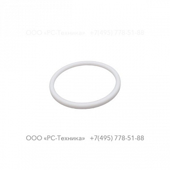 4810002251 GASKET