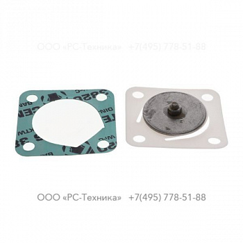 4810009013 CHECK VALVE COMPL. J 40 TK